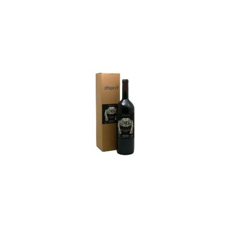 Amarone valpolicella Magnum 2000 Speri