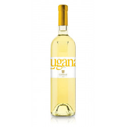 Lugana tenuta Maiolo D.O.P 2015 Cà Majol