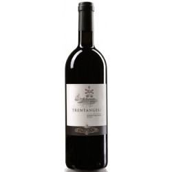 Trentangeli Aglianico Castel del Monte DOC magnum 1,5 L. 2020  (Antinori)
