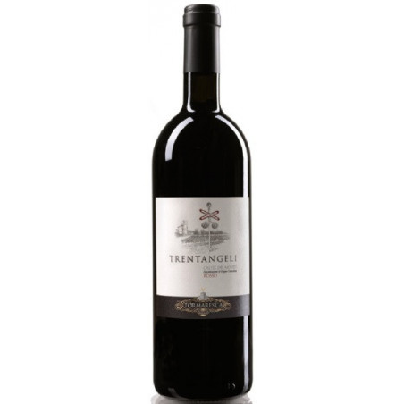 Trentangeli Aglianico Castel del Monte DOC magnum 1,5 L. 2020  (Antinori)