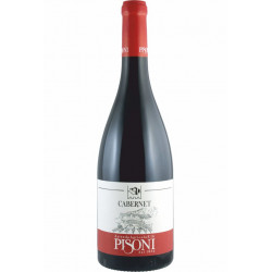Cabernet Vigneti delle Dolomiti IGT 2014 Pisoni