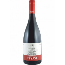 San Siro Rosso Vigneti delle Dolomiti Igt 2014 Pisoni