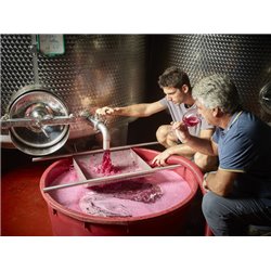 Pinot Grigio Vallagarina IGT 2017 La Cadalora