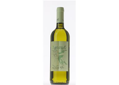 Muller Thurgau di Cembra Nicolodi