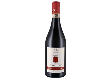 Greco di Tufo Docg Terra d'Uva 2021  Benito Ferrara