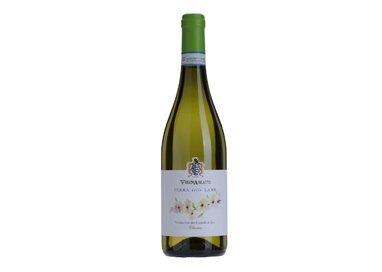 Verdicchio dei Castelli di Jesi Classico Terra delle Lame 2022 Vignamato