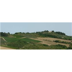 Chianti Classico Riserva Viacosta Docg 2015  Fattoria di Rodano