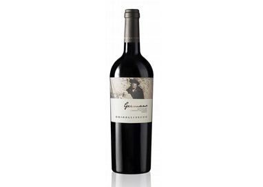 Germano Trentino Doc Cabernet Sauvignon Riservaq2009 Grigolli Bruno