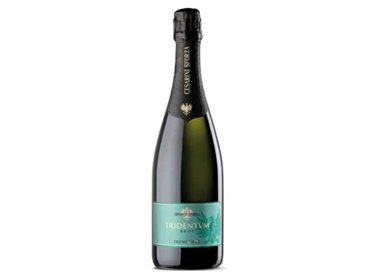 Tridentum Brut doc Cesarini