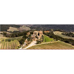 Brunello di Montalcino Docg 2017 Mastrojanni