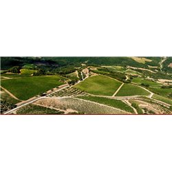 Brunello di Montalcino Docg 2017 Mastrojanni