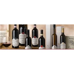 Brunello di Montalcino Docg 2017 Mastrojanni