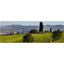 Brunello di Montalcino Docg 2017 Mastrojanni