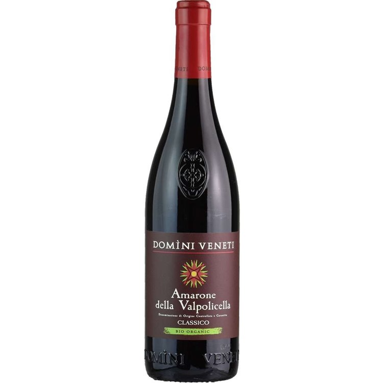 Amarone della Valpolicella Classico DOCG Bio 2019 Domini Veneti Amarone della Valpolicella Classico DOCG Bio 2019 Domini Veneti