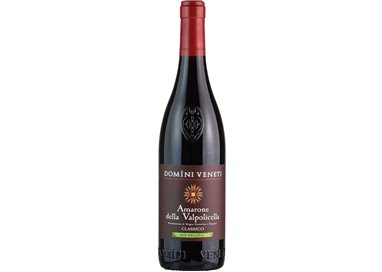 Amarone della Valpolicella Classico DOCG Bio 2019  Domini Veneti