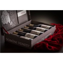 Flaschen-set im Koffer Mit 5 Cru Des Amarone della valpolicella - Domini veneti