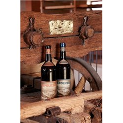 Valpolicella Doc Classico Superiore Verjago  2021- Domini Veneti