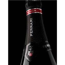 Trento Doc Ferrari Maximum Blanc de Blancs New Cucèe - Ferrari