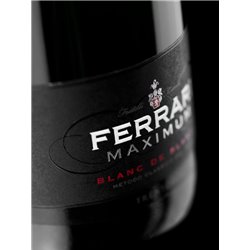 Trento Doc Ferrari Maximum Blanc de Blancs New Cucèe - Ferrari