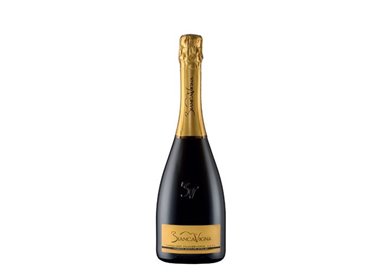 Prosecco Conegliano Valdobbiadene Docg Extradry Società Agricola BiancaVigna-cz
