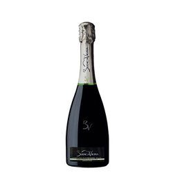 6-Flaschen-Packung Prosecco Conegliano Valdobbiadene Docg Brut Bio BiancaVigna -cz