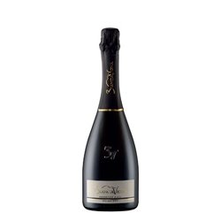 6-Bottle box Prosecco Doc Extradry Società Agricola BiancaVigna  -cz