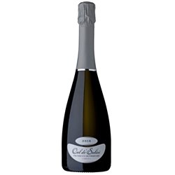 VALDOBBIADENE PROSECCO SUPERIORE DOCG BRUT - COL DE SALICI