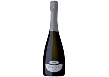 VALDOBBIADENE PROSECCO SUPERIORE DOCG BRUT - COL DE SALICI