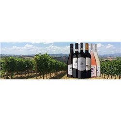 Rosèwein - BOMARZO ROSATO TOSCANA IGT 2019 - Weingut Grillesino