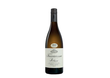 6-Bottle box White Wine Sillery Oltrepò Pavese BIO Frecciarossa -cz