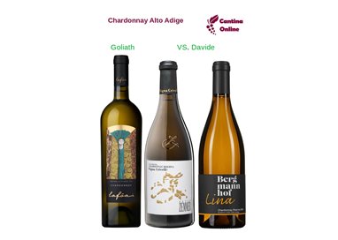Davide VS. Goliath    Chardonnay Alto Adige    3 x 0,75 L.