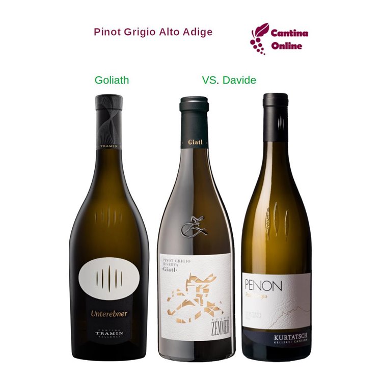 Davide VS. Goliath - Pinot Grigio Alto Adige - 3 x 0,75 L. Davide VS. Goliath - Pinot Grigio Alto Adige - 3 x 0,75 L.