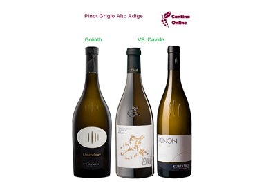 Davide VS. Goliath  - Pinot Grigio  Alto Adige  - 3 x 0,75 L.