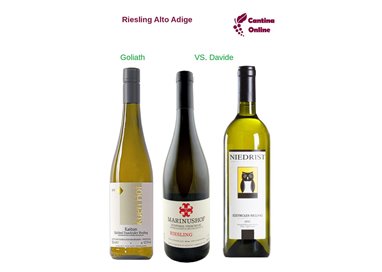 Davide VS. Goliath  - Riesling  Alto Adige  - 3 x 0,75 L.