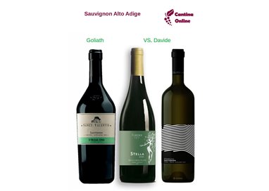 Davide VS. Goliath  - Sauvignon  Alto Adige  - 3 x 0,75 L.