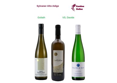 Davide VS. Goliath  -  Sylvaner  Alto Adige  - 3 x 0,75 L.