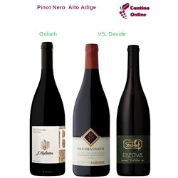 Davide VS. Goliath  - Blauburgunder Riserva  Alto Adige  - 3 x 0,75 L.