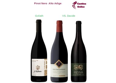 Davide VS. Goliath  -   Pinot Nero  Riserva  Alto Adige  - 3 x 0,75 L.