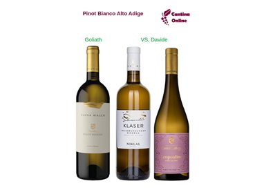 Davide VS. Goliath  -  Pinot Bianco Weissburgunder  Alto Adige  - 3 x 0,75 L.