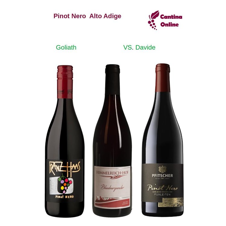 Davide VS. Goliath - Pinot Nero Alto Adige - 3 x 0,75 L. Davide VS. Goliath - Pinot Nero Alto Adige - 3 x 0,75 L.