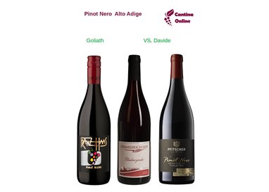 Davide VS. Goliath  -   Pinot Nero  Alto Adige  - 3 x 0,75 L.