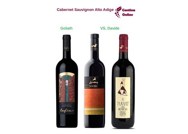 Davide VS. Goliath  -   Cabernet Sauvignon  Alto Adige  - 3 x 0,75 L.