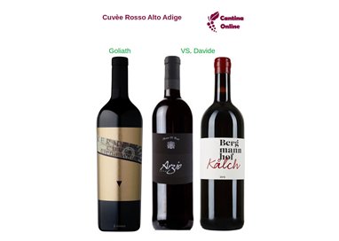 Davide VS. Goliath  -    Cuvèe Rosso  Alto Adige  - 3 x 0,75 L.