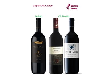 Davide VS. Goliath  -    Lagrein Riserva  Alto Adige  - 3 x 0,75 L.