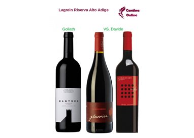 Davide VS. Goliath  -  Lagrein Riserva  Alto Adige  - 3 x 0,75 L.