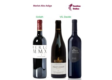Davide VS. Goliath  -  Merlot  Alto Adige  - 3 x 0,75 L.
