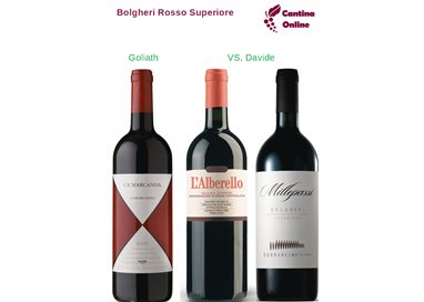 Davide VS. Goliath  -  Bolgheri Rosso Superiore  - 3 x 0,75 L.