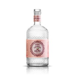 Bertagnolli - Acquavite Frutta 1870 Ciliegie (40% Vol. - 0.70 Lt) im Karton