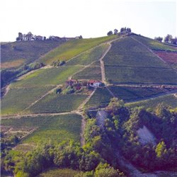 Az. Agr. Pelissero -  Barbaresco DOCG Tulin  2018  0,75 L.