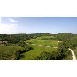 Az. Agr. Lisini - Rosso di Montalcino DOC  2020 0,750 L.